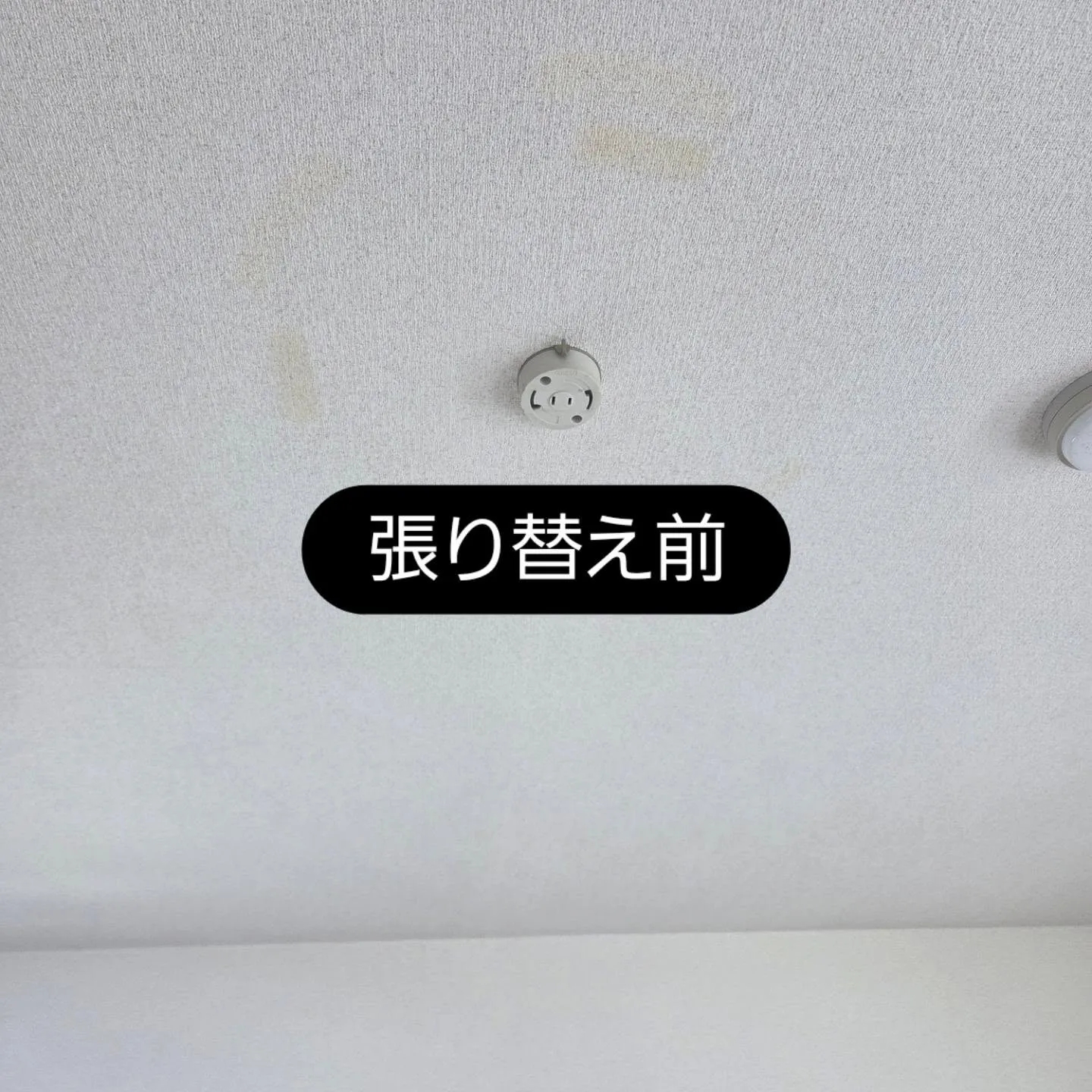20260722224749_0_2.jpg